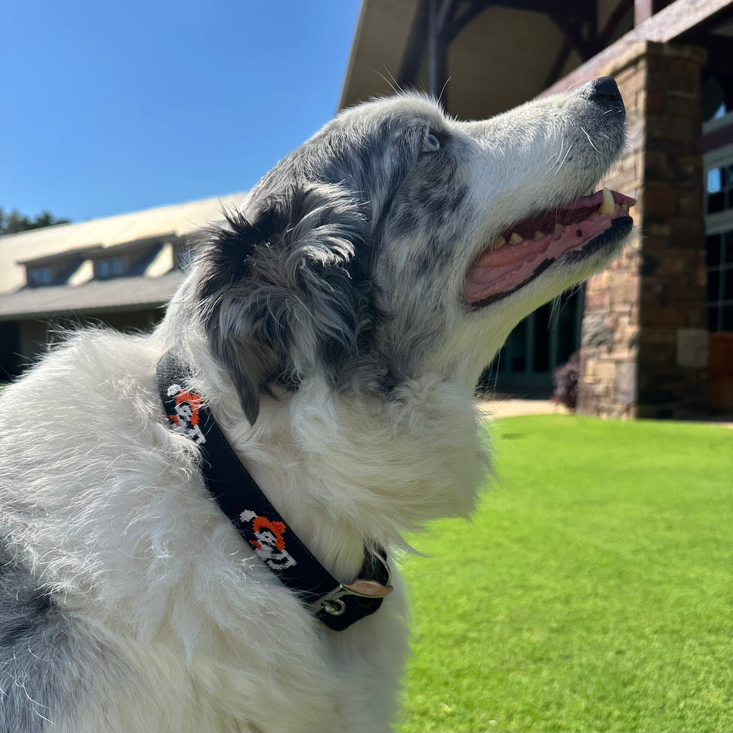 Smathers & Branson Swinging Pete Dog Collar